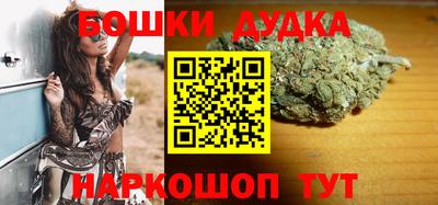 тгк Славгород