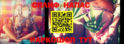 тгк Славгород