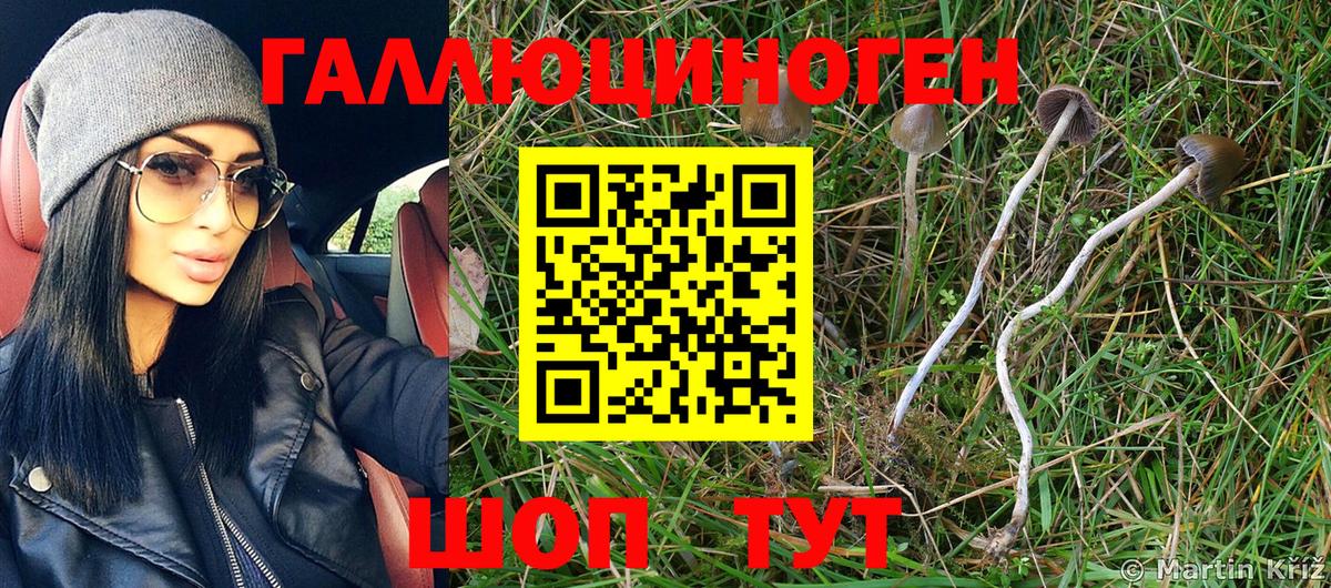 цена   Псилоцибиновые грибы MAGIC MUSHROOMS  Вход с VPN  Ртищево 